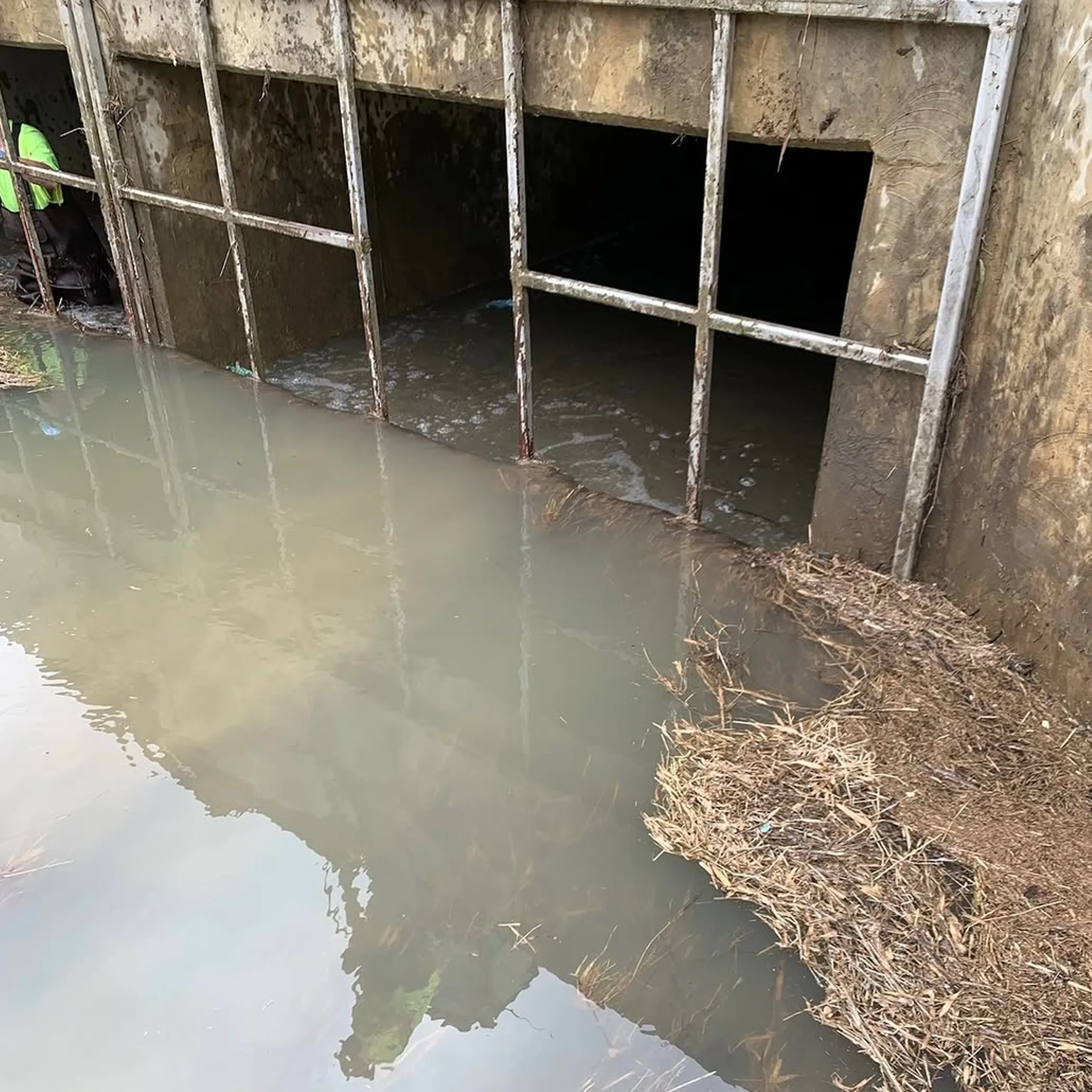 stormwater drain blocked by debris